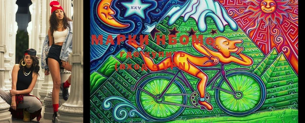 гашик Мурманск