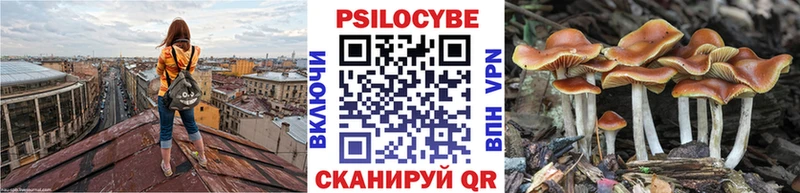 Псилоцибиновые грибы Psilocybe  как найти наркотики  Константиновск 